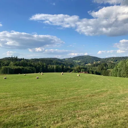 šedivinské - Rodinné V Orlických Horách Apartmán Kounov