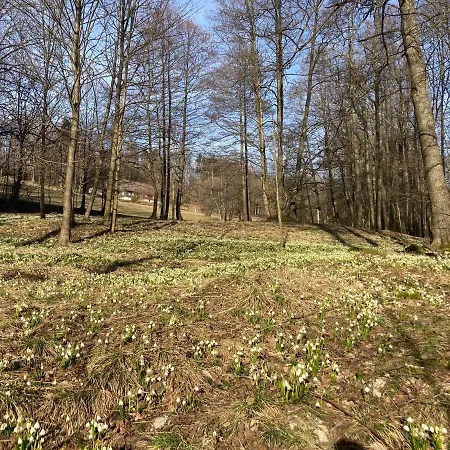 Sedivinske - Rodinne V Orlickych Horach Apartment