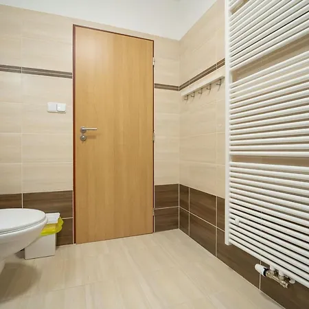 Sedivinske - Rodinne V Orlickych Horach Apartment Kounov