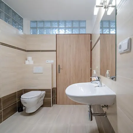 Apartment Sedivinske - Rodinne V Orlickych Horach Kounov