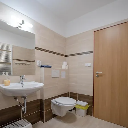 Apartment Sedivinske - Rodinne V Orlickych Horach Kounov