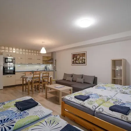 Apartamento šedivinské - Rodinné V Orlických Horách Kounov