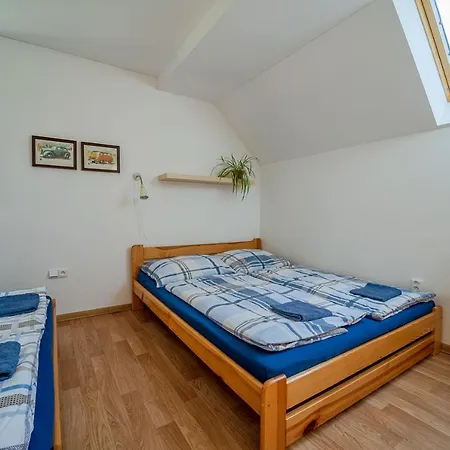 šedivinské - Rodinné V Orlických Horách Apartmán Kounov
